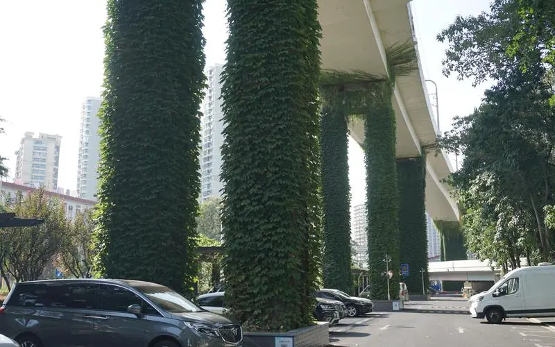 园林植物疾病防治：如何保持城市绿化的健康与可持续发展？