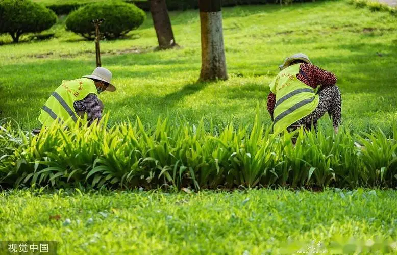 2亩园林景观设计