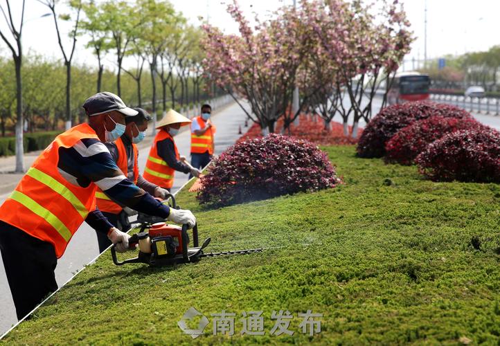 园林绿化工程结算书样本